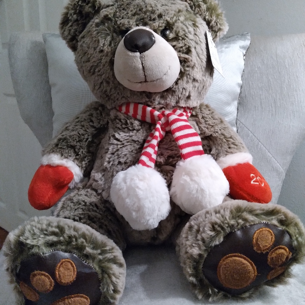 Teddy Bear
